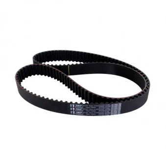 Courroie crantée SKF VKMT 92519