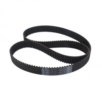 Courroie crantée SKF VKMT 95613