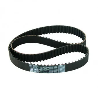 Courroie crantée SKF VKMT 95660