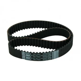 Courroie crantée SKF VKMT 97505