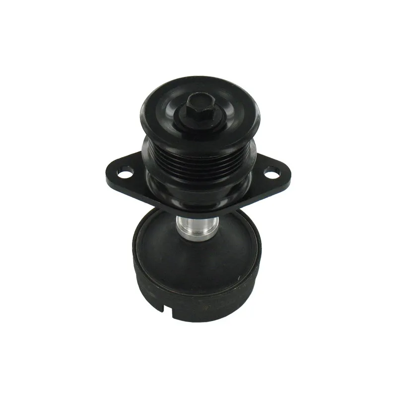 Poulie roue libre, alternateur SKF VKM 03404
