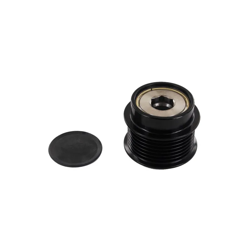 Poulie roue libre, alternateur SKF VKM 06106