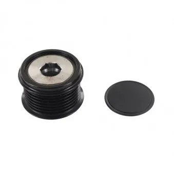 Poulie roue libre, alternateur SKF VKM 06110