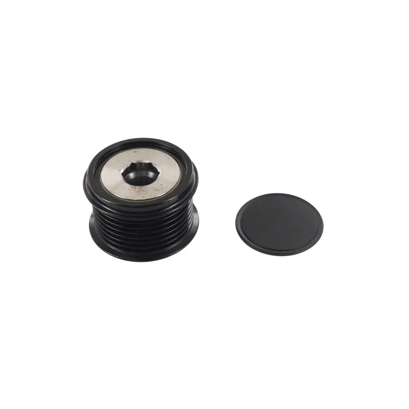 Poulie roue libre, alternateur SKF VKM 06110