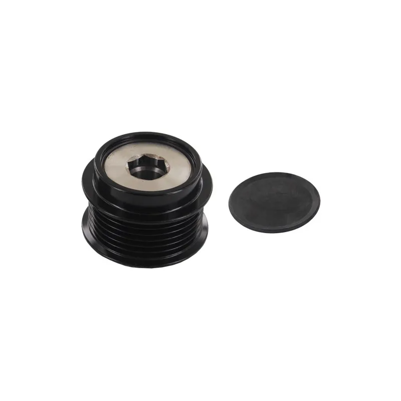 Poulie roue libre, alternateur SKF VKM 06113