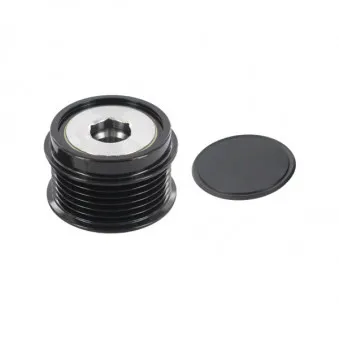 Poulie roue libre, alternateur SKF VKM 06117