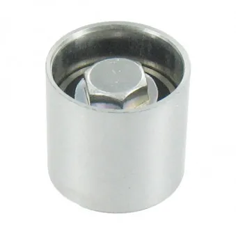 Poulie renvoi/transmission, courroie de distribution SKF VKM 21220