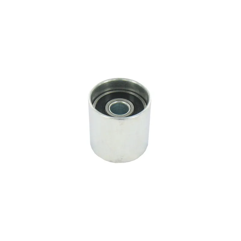 Poulie renvoi/transmission, courroie de distribution SKF VKM 21223