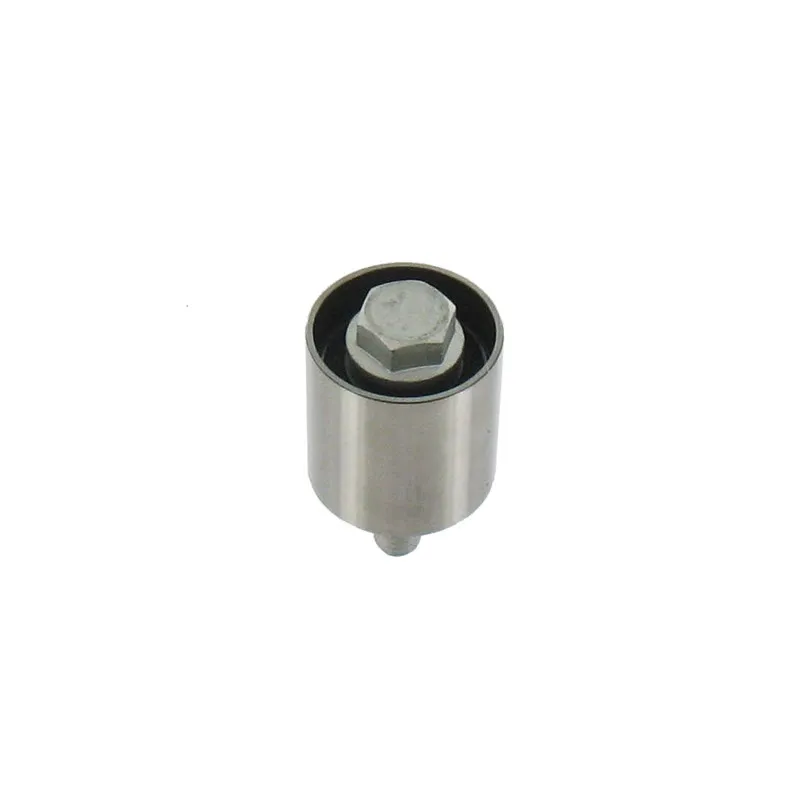 Poulie renvoi/transmission, courroie de distribution SKF VKM 25124