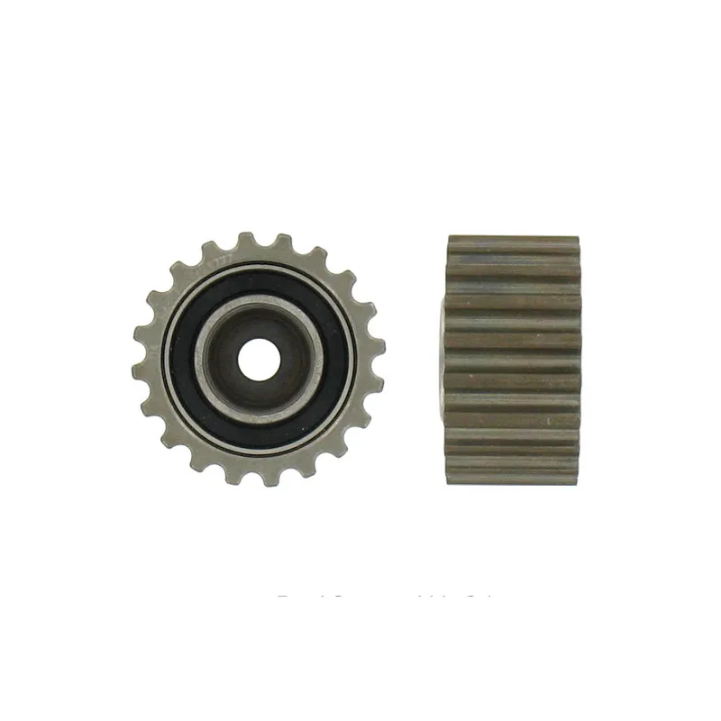 Poulie renvoi/transmission, courroie de distribution SKF VKM 26125