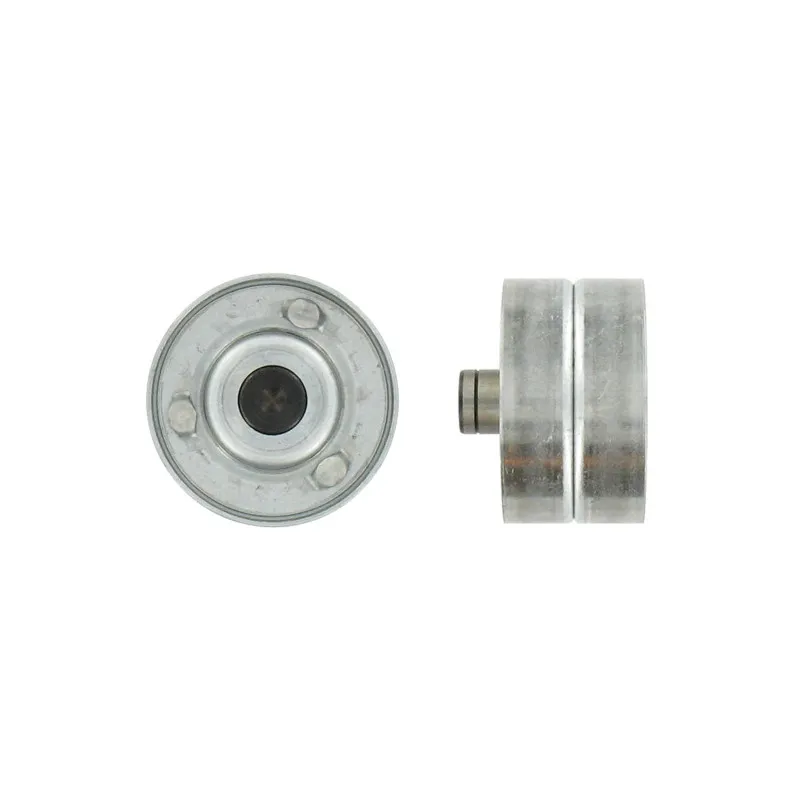 Poulie renvoi/transmission, courroie de distribution SKF VKM 26211