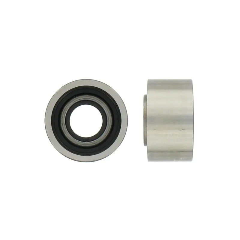 Poulie renvoi/transmission, courroie de distribution SKF VKM 27302