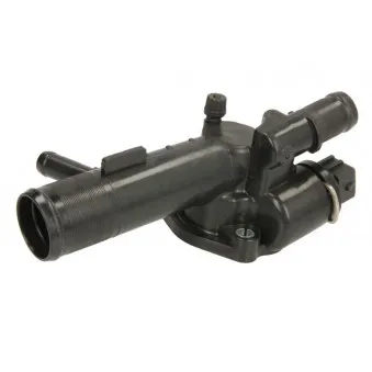 Thermostat d'eau THERMOTEC D2R006TT