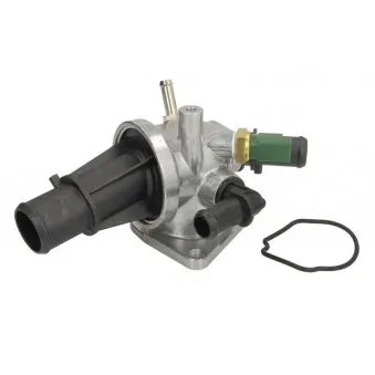 Thermostat d'eau THERMOTEC D28002TT