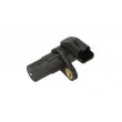 Capteur d'angle, vilebrequin DELPHI SS11266 - Visuel 1