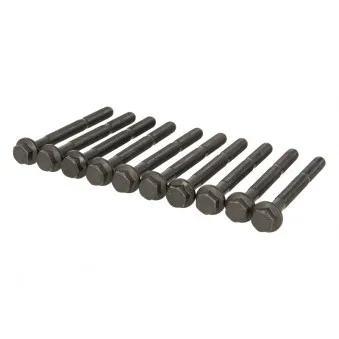 Jeu de boulons de culasse de cylindre ELRING 760.720
