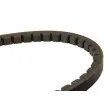 Courroie trapézoïdale DAYCO 11A0793C - Visuel 2