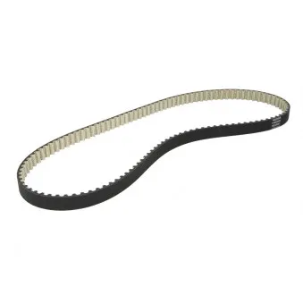 Courroie crantée DAYCO 941091