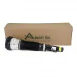 Armortisseur pneumatique Arnott AS-2193 - Visuel 3
