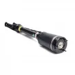 Armortisseur pneumatique Arnott AS-2450 - Visuel 1