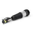 Armortisseur pneumatique Arnott AS-2820 - Visuel 2