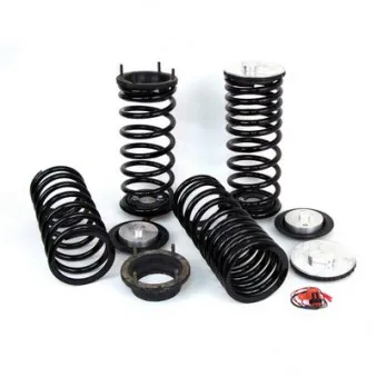 Jeu de suspensions, ressorts Arnott C-2227