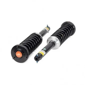 Jeu de suspensions, ressorts/amortisseurs Arnott C-2242