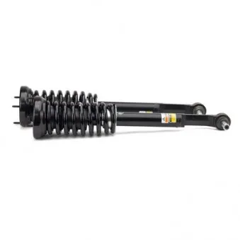 Jeu de suspensions, ressorts Arnott C-2956
