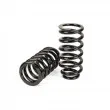 Jeu de suspensions, ressorts Arnott C-3080 - Visuel 1