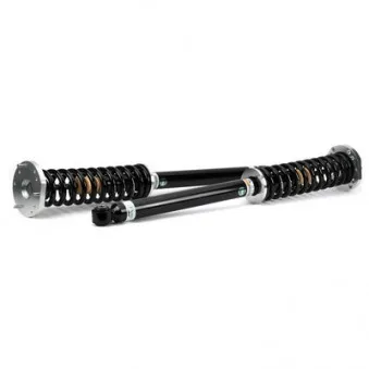 Jeu de suspensions, ressorts/amortisseurs Arnott C-3272
