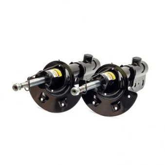 Jeu de 2 amortisseurs avant Arnott SK-2189