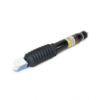Jeu de 2 amortisseurs avant Arnott SK-3062