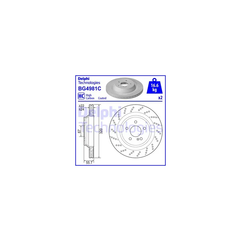 Jeu de 2 disques de frein arrière DELPHI BG4981C