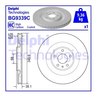 Jeu de 2 disques de frein arrière DELPHI BG9339C