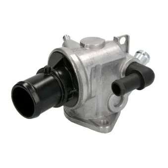 Thermostat d'eau THERMOTEC D2D002TT