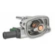 Thermostat d'eau THERMOTEC D2F003TT - Visuel 2