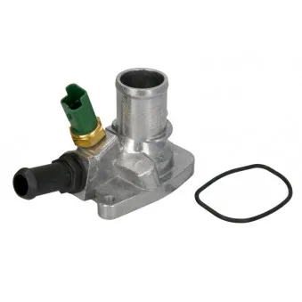 Thermostat d'eau THERMOTEC D2F005TT