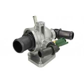 Thermostat d'eau THERMOTEC D2F007TT