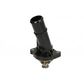 Thermostat d'eau THERMOTEC D2G013TT