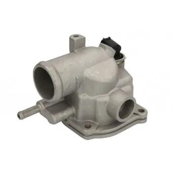 Thermostat d'eau THERMOTEC D2M007TT