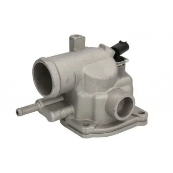 Thermostat d'eau THERMOTEC D2M008TT