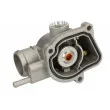 Thermostat d'eau THERMOTEC D2M009TT - Visuel 2