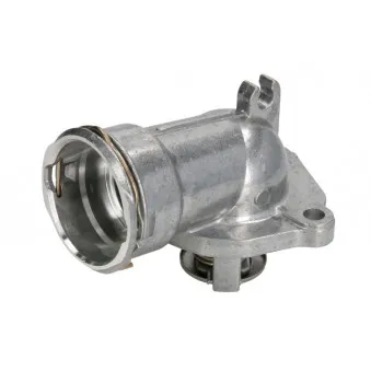 Thermostat d'eau THERMOTEC D2M011TT