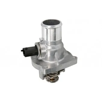 Thermostat d'eau THERMOTEC