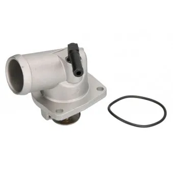 Thermostat d'eau THERMOTEC D2X019TT