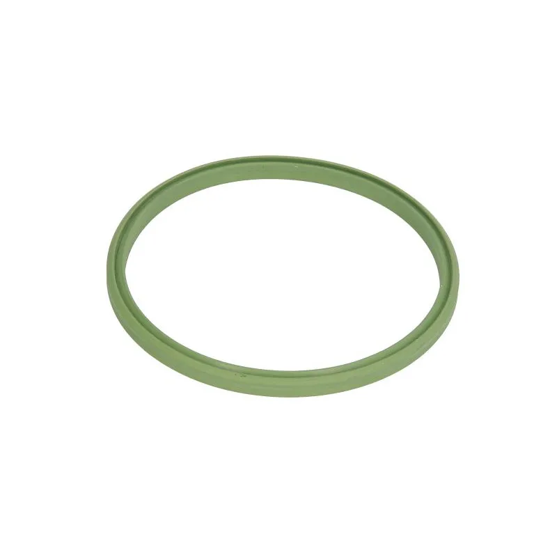 Bague d'étanchéité, gaine de suralimentation THERMOTEC DCM070TT