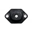 Suspension, amortisseur TEKNÖR AD-BM-008 - Visuel 3