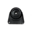 Coupelle de suspension arrière TEKNÖR AD-FR-017 - Visuel 3