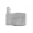 Radiateur d'huile TEKNÖR CCL-AU-002 - Visuel 3