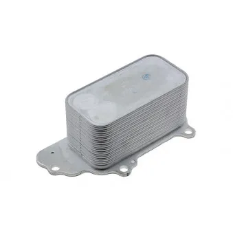 Radiateur d'huile TEKNÖR CCL-CH-007